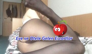 Yaşlı Escort Gaziantep